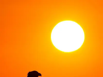 La acción como vía interior: sobre las enseñanzas de Antonio Medrano